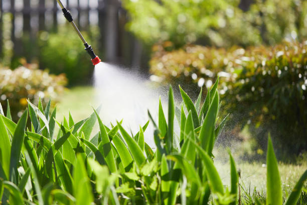 24/7 Emergency Mosquito Control experts in Dunlap, IN